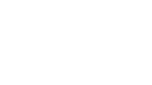 AES Expertise Stratégique